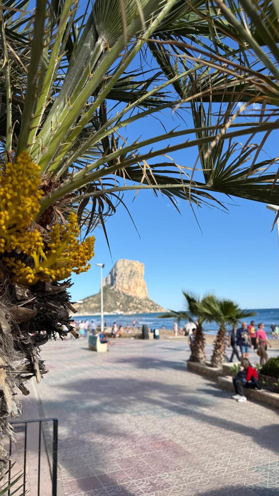 Esmeralda Suites Sunrise Con Piscina Calpe Eksteriør billede