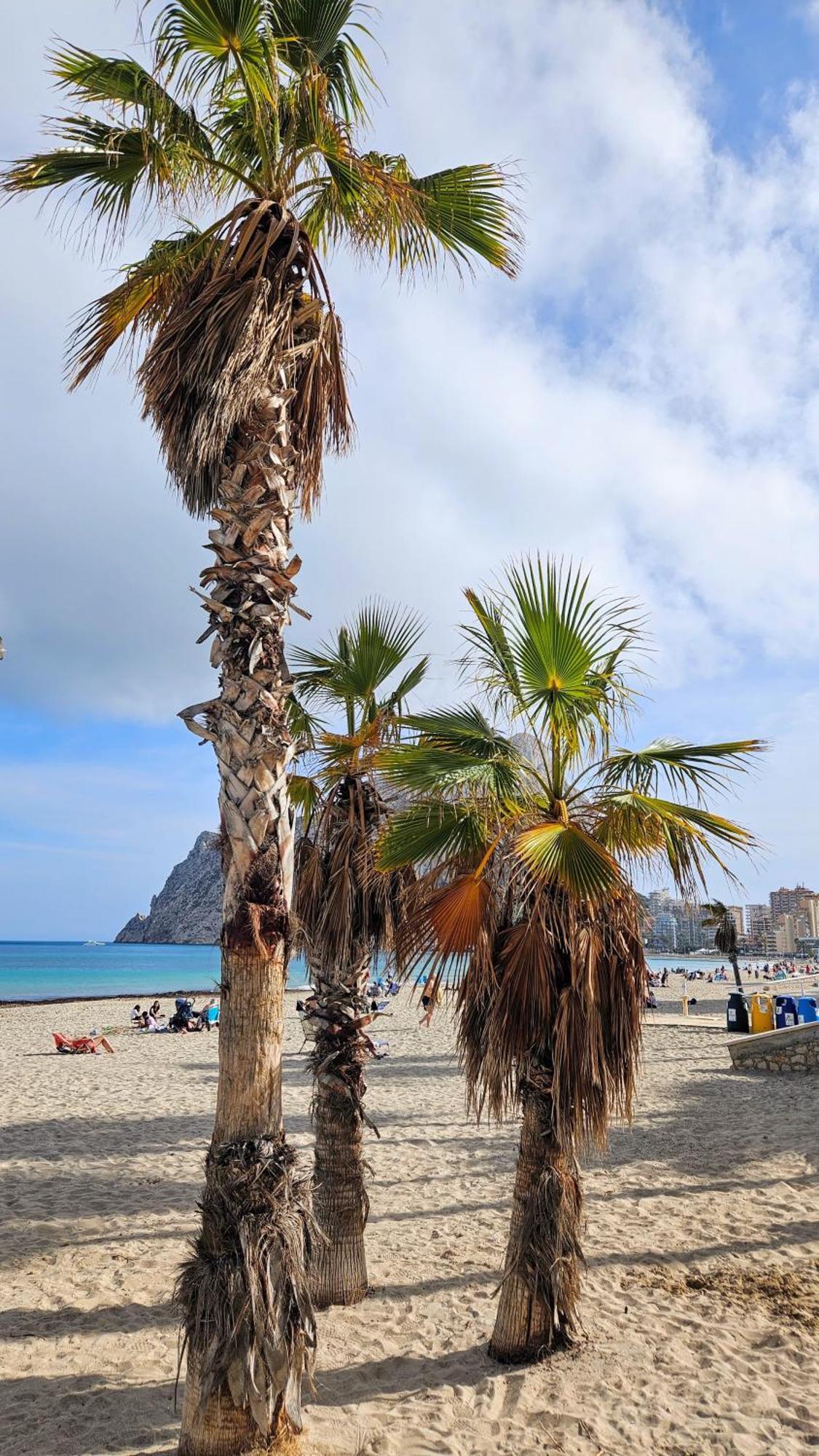 Esmeralda Suites Sunrise Con Piscina Calpe Eksteriør billede
